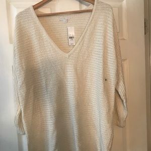 Cream V-Neck Sweater with Gold ✨Sparkly Thread